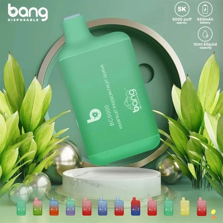 bang box 5000 disposable