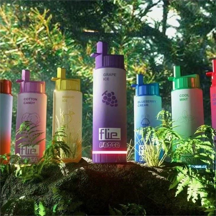 Flie FATTY 8000 Electronic Cigarette Disposable Vape best