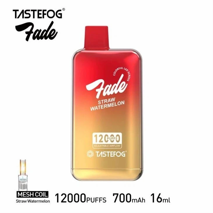 TASTEFOG FADE 12000 Puffs Vape best